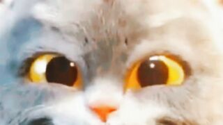 Dancing cat |Cat fun| Funny Cat