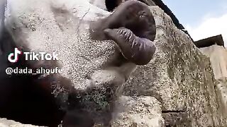 Funny video