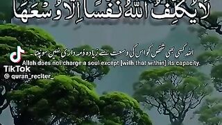 Quran video