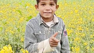 Dhola mera