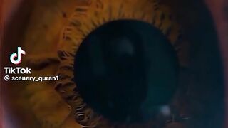 القرآن الكريم