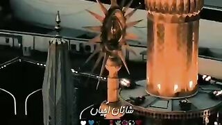 Mola ali