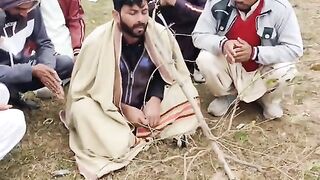 Funyvideo