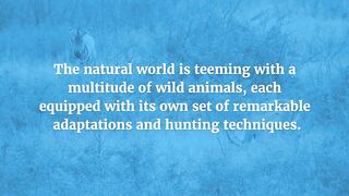 Decoding the Enigmatic Behaviors of Wildlife.