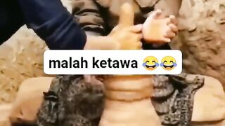 becanda_terus_kapan_bisanya_