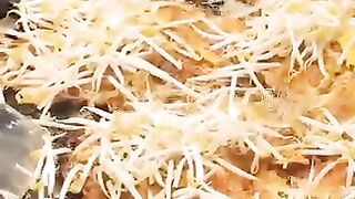 Thai street food #thailand #food #video