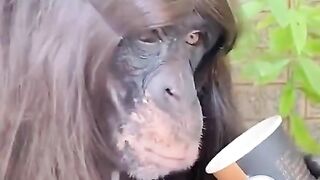 AAJ Kal ki larkain pata nai khud ko Kya samjti hain funny videos