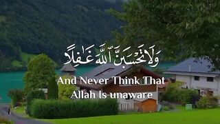 Honey sound with holy Qur'an reading