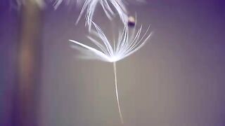 Wind _ Blow your mind _ Motivational  _