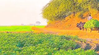 Beautiful village
