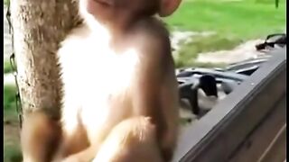 Lo g aashqoon ka Hal jab koi chor k Chala jaye