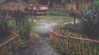 Beautiful view of nature