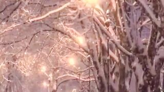 Beautiful view of nature