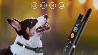 DOG CARE Dog Training Collar with Remote w_2 Receivers Rechargeable Dog Shock Collar 1000Ft Remote.