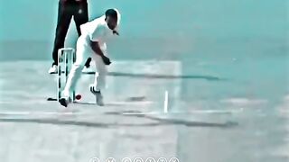 He Broken the wicket