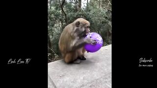 Funny crazy viral videos part 1