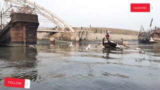 Amazing boat journey ????