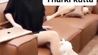 Funny video