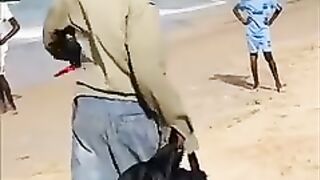 Funny video