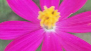 Naturaleza