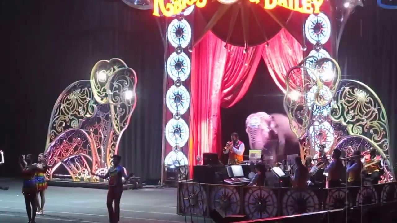 Ringling Brothers Circus Cruelty to Elephants