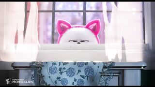 The Secret Life of Pets 2 - Dog vs. Cats Scene (5-10) - Movieclips