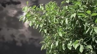 Moon in clouds