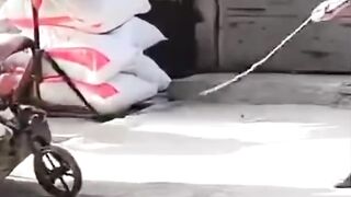 باپ کا سایہ بھی بہت بڑی دولت ہے