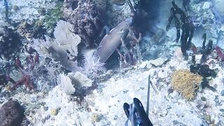 Catch fish in deep ocean