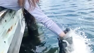 Fish kissing|beautiful finsh romantic mood
