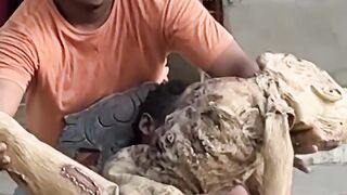 Funny video