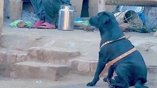Interesting infirmation
