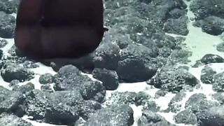 EXTREMELY UNUSUAL Fish spotted on the ocean floor