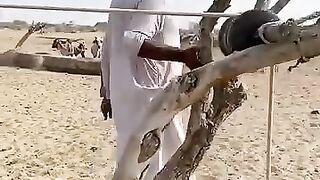 Desert ????️ life