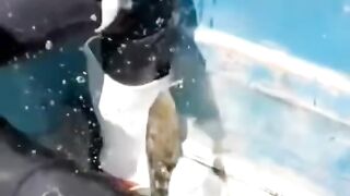fishing using direct hands
