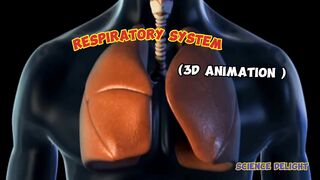 Respiratory System