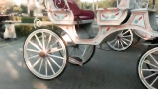 Lahore ma Tanga Wala gara