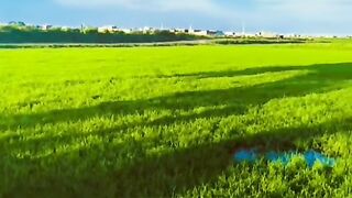 Lenhda Punjab Beautiful Views Today Video OFF Punjab