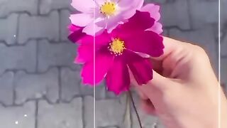 সুন্দর ফুল
