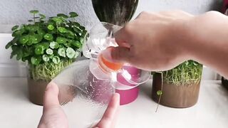 Amazing uses for empty bottles#video