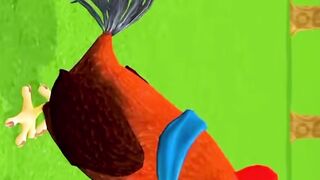 Animals