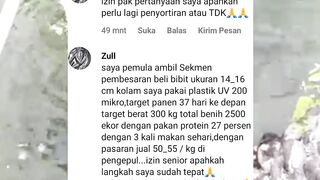 Sekali lagi untuk PEMULA jangan mimpi terlalu tinggi❗Sortir gak sortir terserah