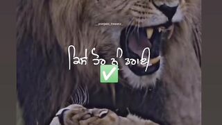 Angry ????