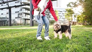 Psychologist gives tips on how to talk to children about the loss of a pet.