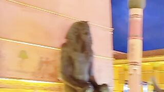 Visit $ to Egypt 2024