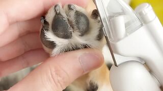 Manyu_immersion_spa_asmr.[Weekly_Care]