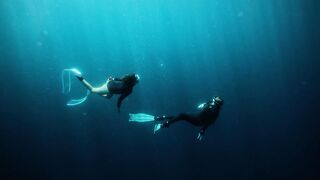 Subscribe Snorkeling in Riviera Maya underwater.
