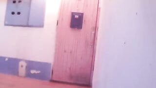 A cat rings the doorbell to his house!
