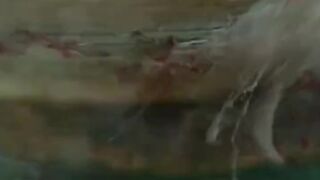 من اجمل الافلام