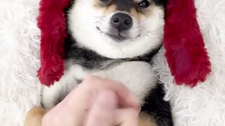 ????曼玉Manyu_Spa_Asmr